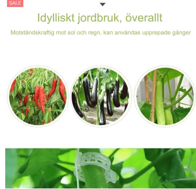 【100 szt】 Plastikowy uchwyt podtrzymujący rośliny do pomidorów wiszące kratki winorośli łączące rośliny do szklarni dekoracja ogrodu warzywnego