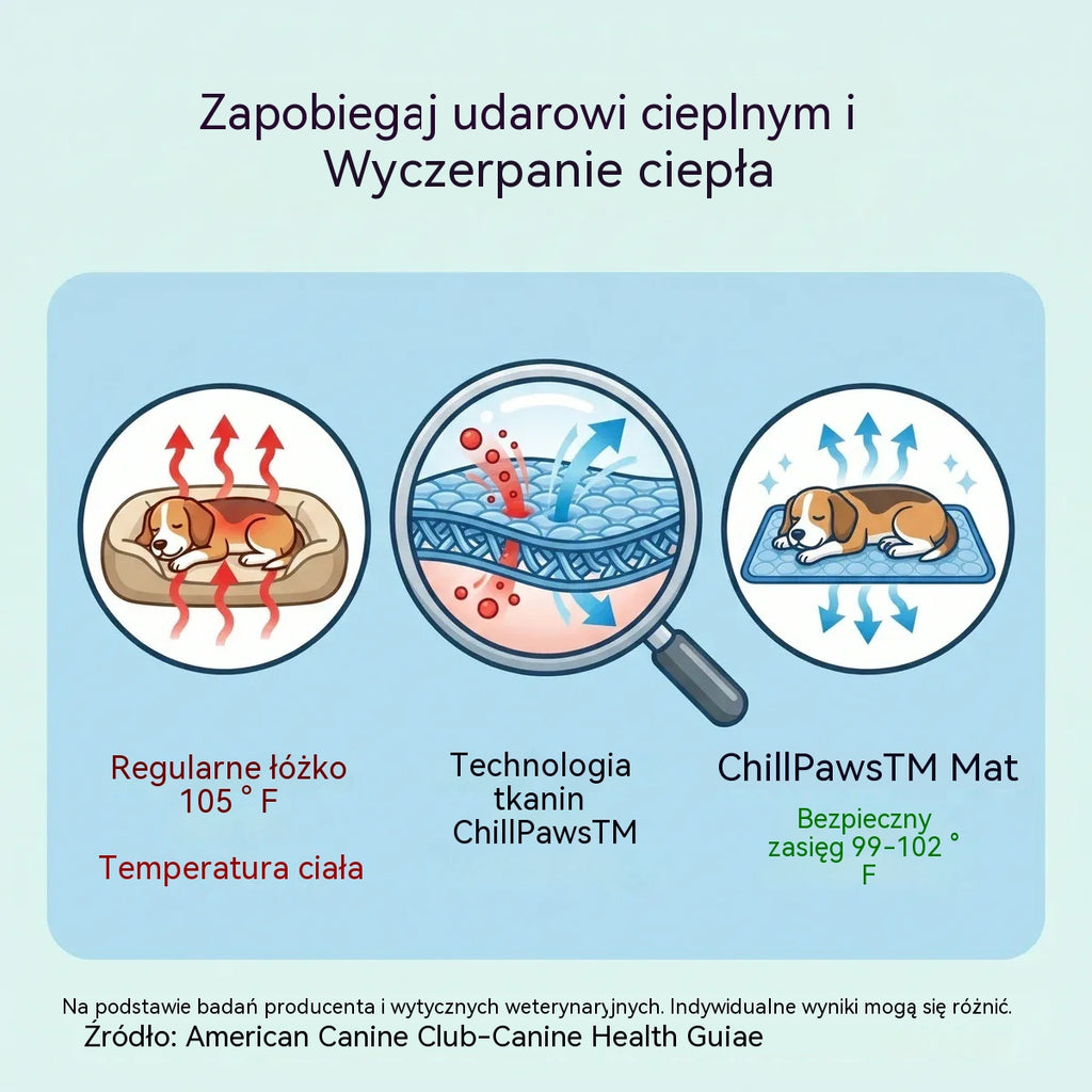 🧊🐱🐶Mata chłodząca dla psów i kotów – ulga, której Twoje zwierzaki potrzebują tego lata