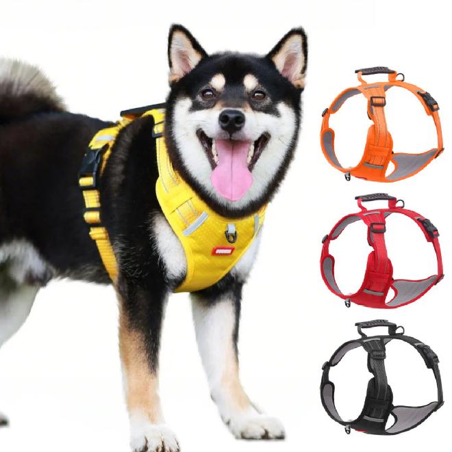🔥Hit Sprzedaży 🐶 【5–30 kg】Szelka przeciw ciągnięciu – 🎁 Idealny prezent dla każdego miłośnika psów